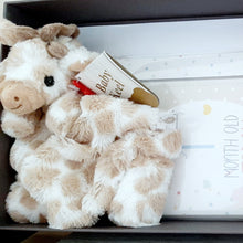 Load image into Gallery viewer, Baby Gift Box